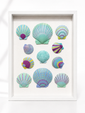 Peconic Pearl